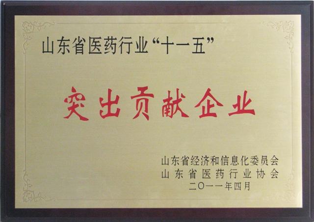 山東省醫(yī)藥行業(yè)“十一五”突出貢獻(xiàn)企業(yè)