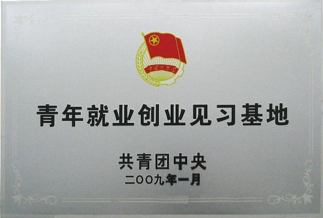 共青團中央青年就業(yè)創(chuàng)業(yè)見習基地