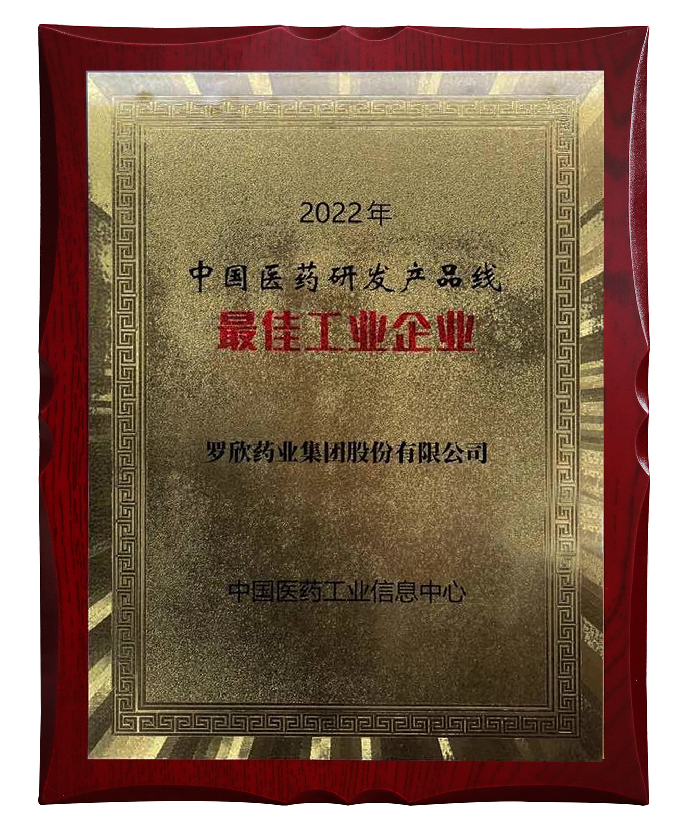 2022年中國醫(yī)藥研發(fā)產(chǎn)品線最佳工業(yè)企業(yè)