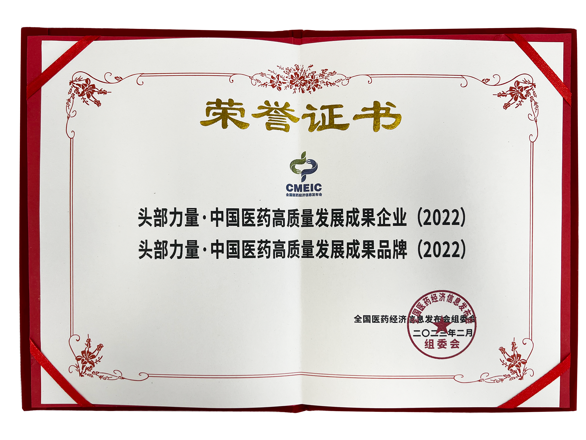 頭部力量·中國醫(yī)藥高質(zhì)量發(fā)展成果企業(yè)/成果品牌
